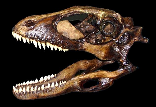 Dinosaurios: El Deinonychus Mixta Mixta