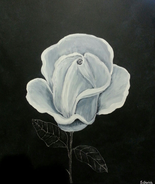 rosa blanca