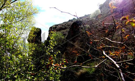 Naturaleza