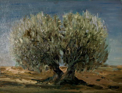Olivo