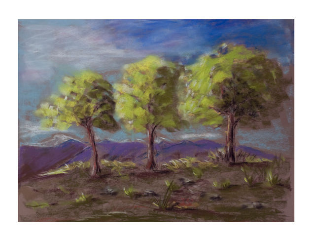 Sierra Segura Pastel Card Landscaping