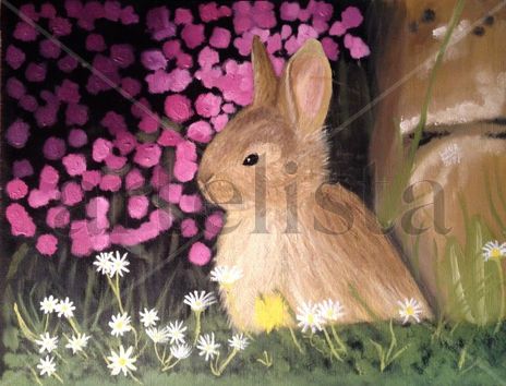 Observando las Flores