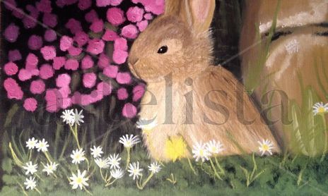 Animales