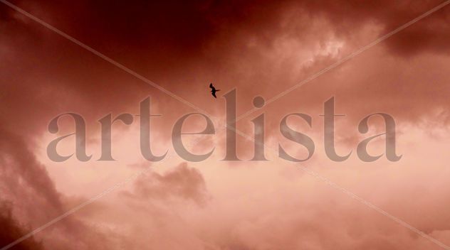 Libertad