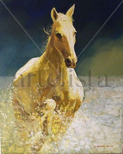 caballo Oil Canvas Animals