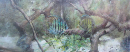 Peces