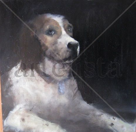 Perro