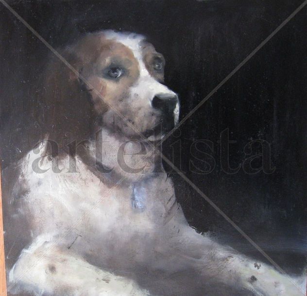 Perro