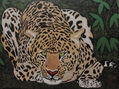 Leopardo al asecho