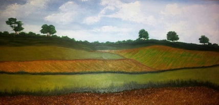 Campos de cultivo