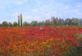 Paseando entre las flores en primavera.