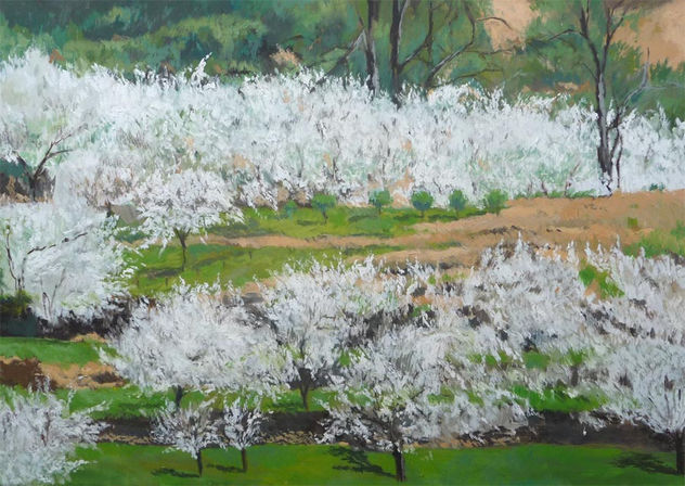 CEREZOS EN EL VALLE DEL JERTE