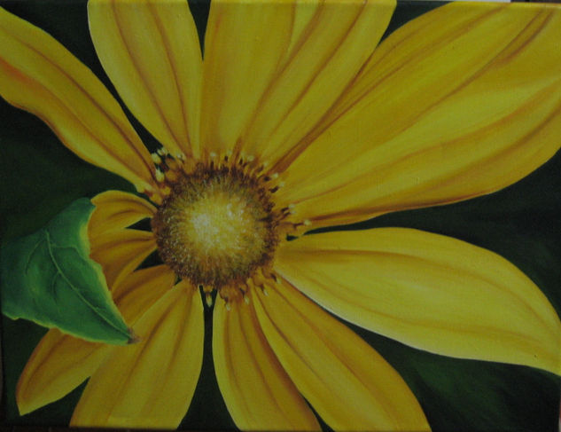 primavera Oil Canvas Floral Painting