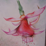 flores thumbnail 1