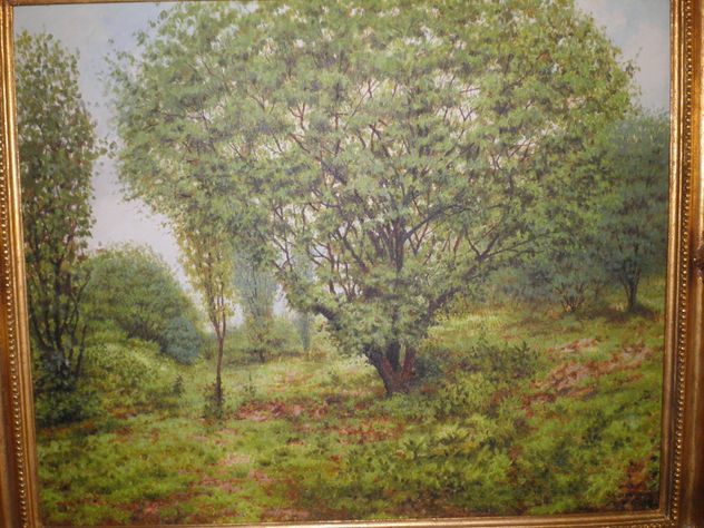 PAISAJE DE CORDOVA VERACRUZ