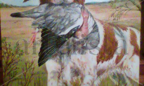 Animales