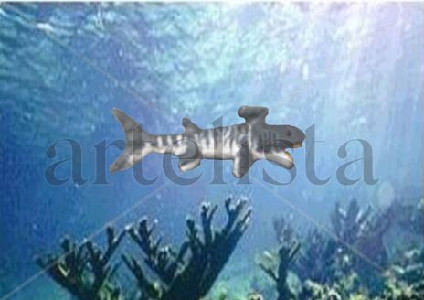 Stethacanthus