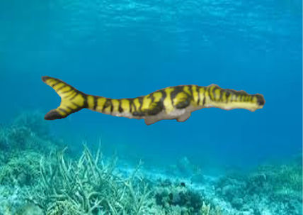 Metriorhynchus