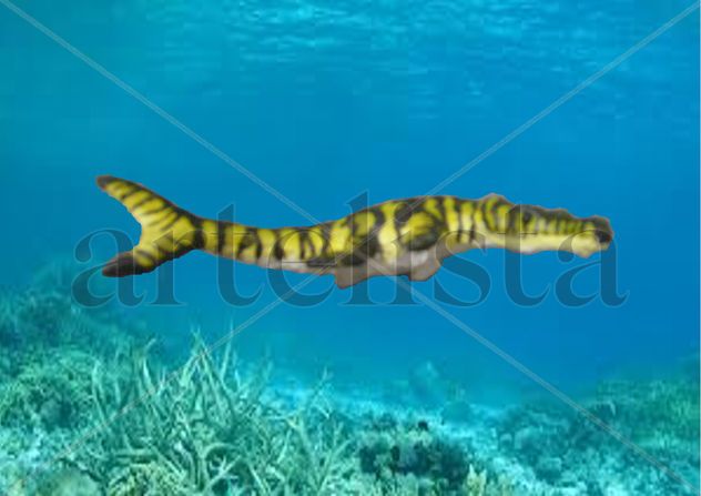 Metriorhynchus