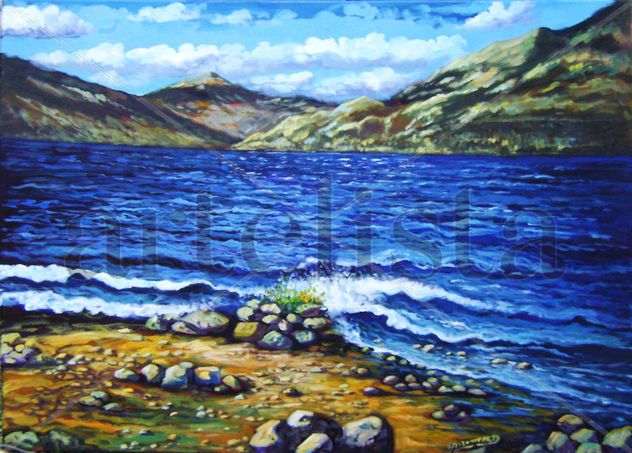 Lago Nahuel Huapí-