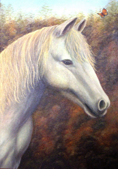 Reyna Oil Canvas Animals