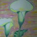 NATURALEZA thumbnail 1