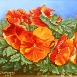 Las flores de mi jardín thumbnail 1