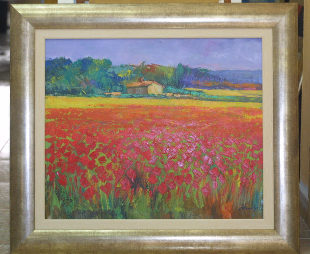 paisaje de amapolas