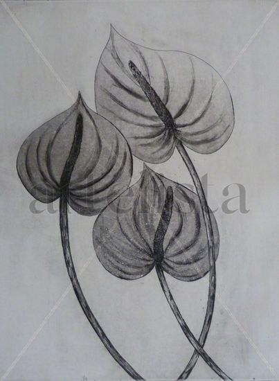 Anthurium Etching Process