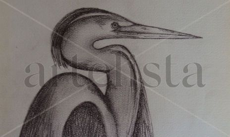 Graphite