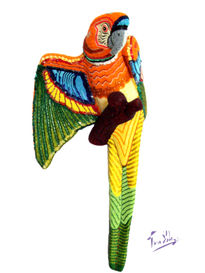 Guacamaya jacinto