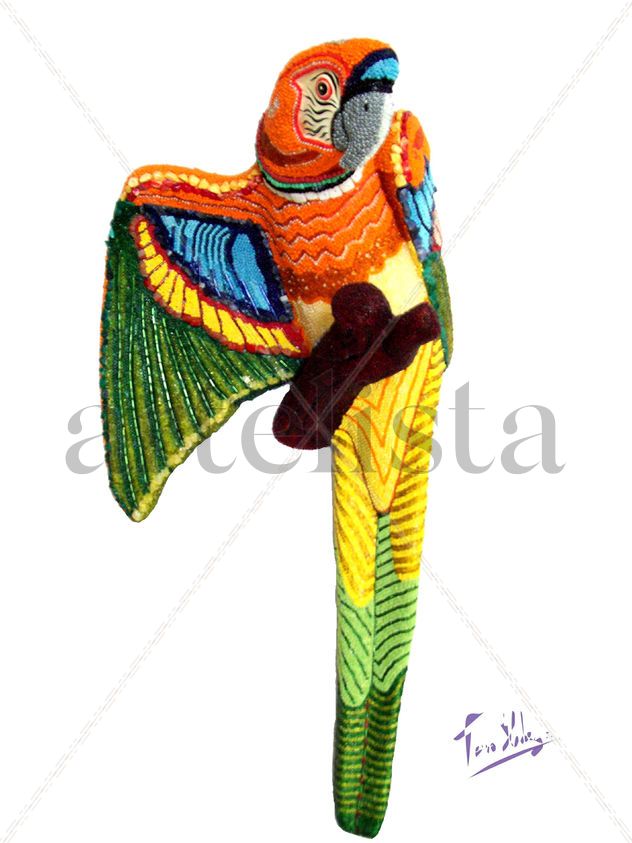 GUACAMAYA JACINTO