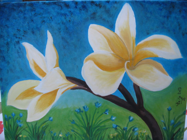 Flores amarilllas en el campo
