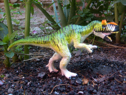 Allosaurus