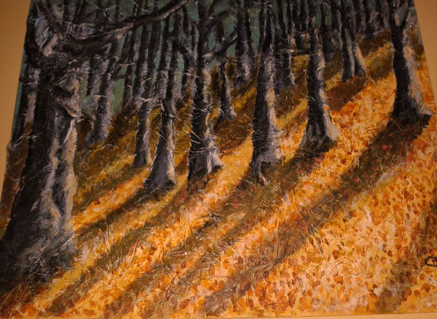 BOSQUE OTOÑAL
