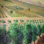 Altea thumbnail 1