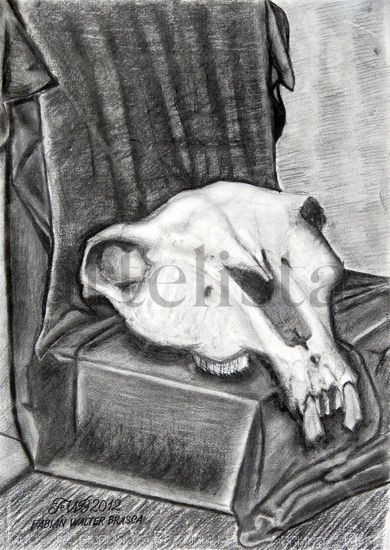 Naturaleza muerta con calavera de caballo (Still life with horse skull) Charcoal