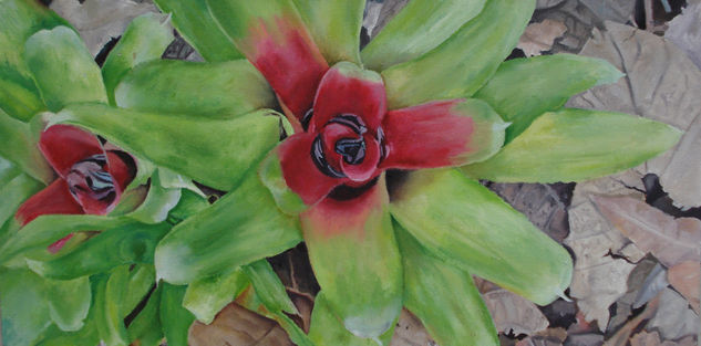 Bromelia Oil Canvas Floral Painting