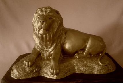 León africano...