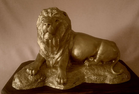 León africano...