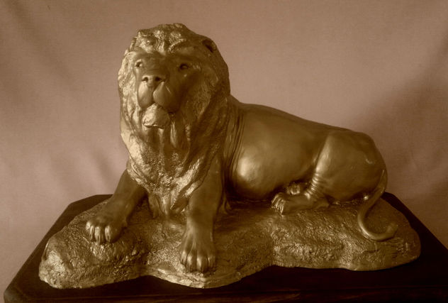 León africano echado sobre piedra
