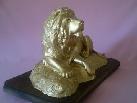 León africano...