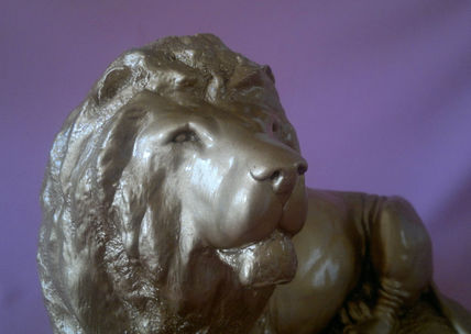 León africano...