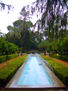 Parque de María Luisa. Estanque