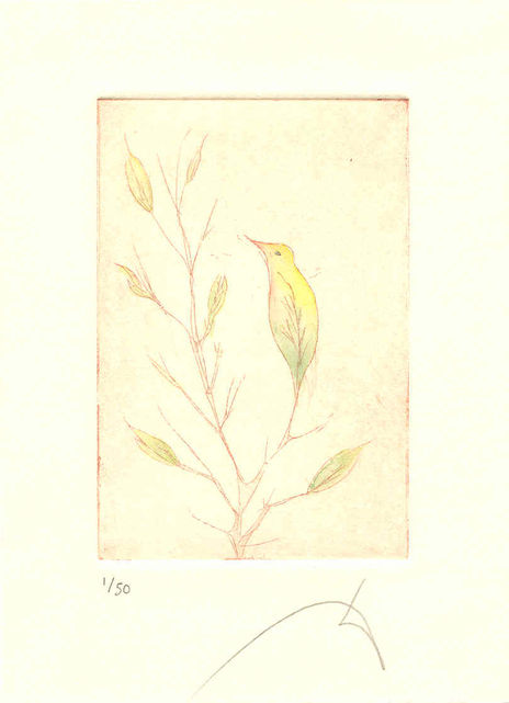 Pájaro-Hoja