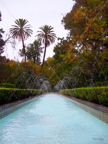 Parque de María Luisa. Estanque II Nature Color (Digital)