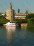 Torre del Oro desde...