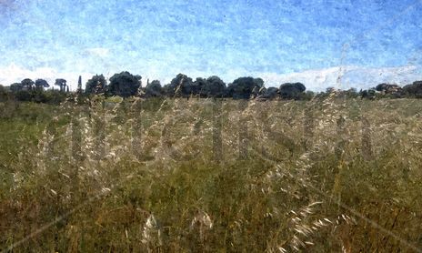 Paisajes
