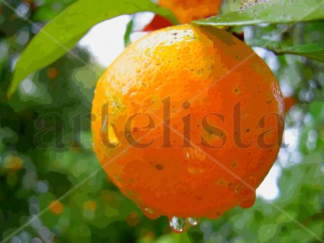 Naranja tras la...