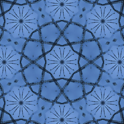 005 - roseton de hielo